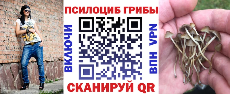 Галлюциногенные грибы Magic Shrooms  как найти   shop как зайти  Советская Гавань 