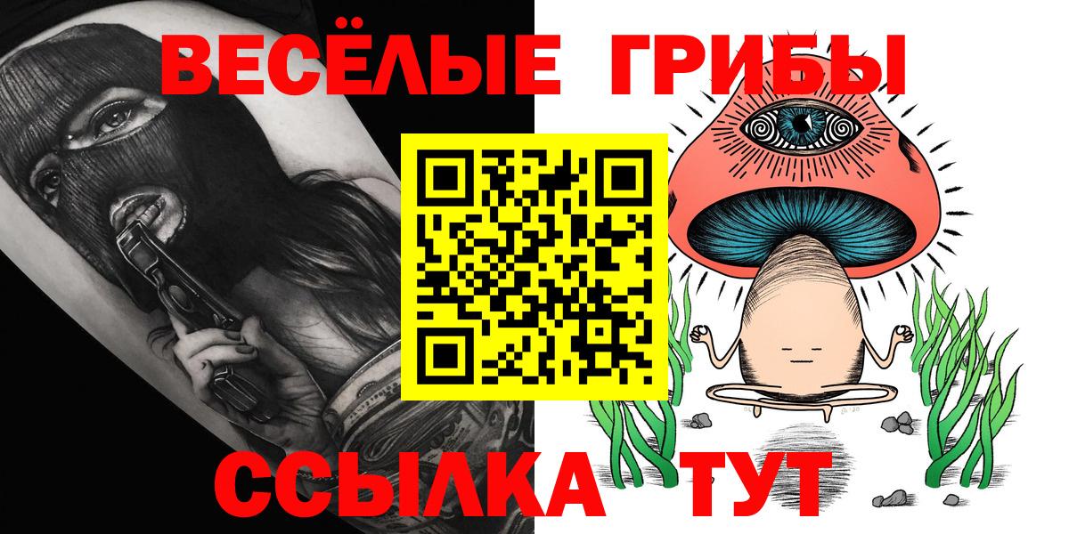 Галлюциногенные грибы Psilocybe  Вход с VPN  Советская Гавань 